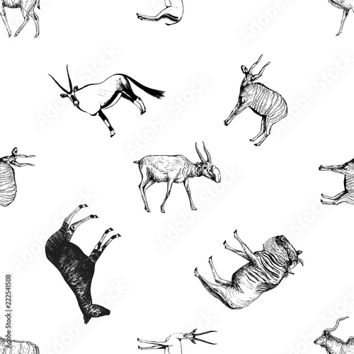 Seamless pattern of hand drawn sketch style ungulates isolated on white background. Vector illustration.