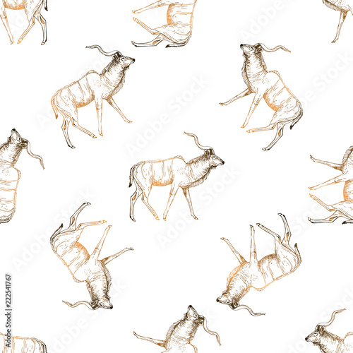 Seamless pattern of hand drawn sketch style lesser kudu antelope isolated on white background. Vector illustration.
