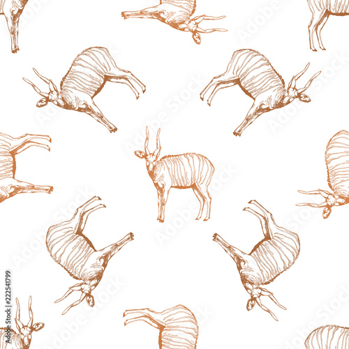 Seamless pattern of hand drawn sketch style bongo antelopes isolated on white background. Vector illustration.