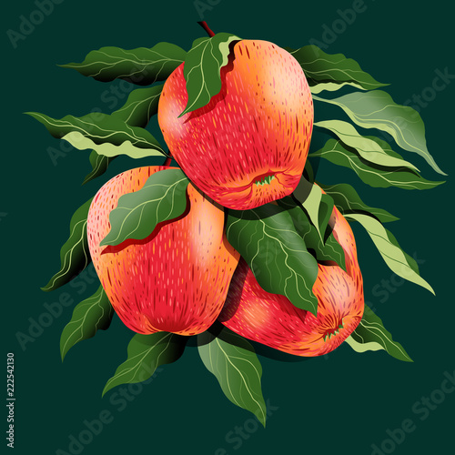 Natural fresh delicious apple branch hand drawing 3d illustration isolate on dark green background.