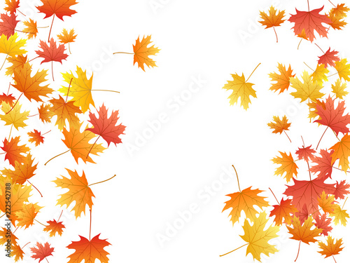 Maple leaves vector background, autumn foliage on white graphic design.