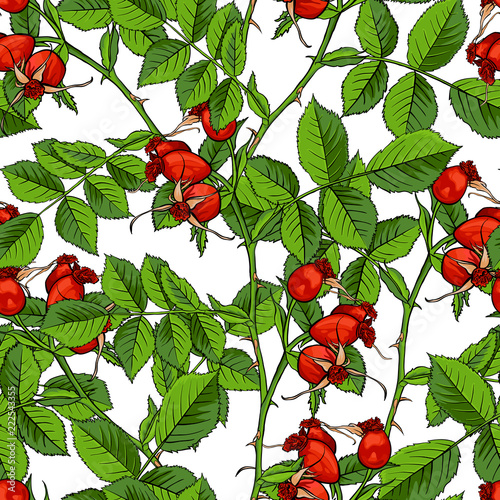 Dogrose Seamless Pattern, Luxury Wild Briar Rose. Rosehip Romance Fabric Textile Design with White Background for Wrapping Paper, Canker Rose Gift Bag and Bramble Packaging