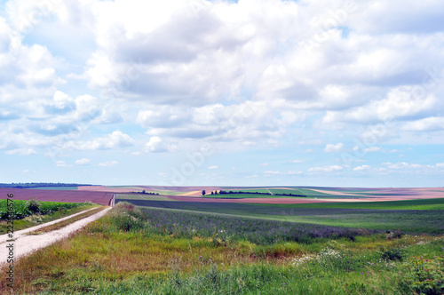 Landscape of different farmers in all colours. Lovely mix in France during Summer.