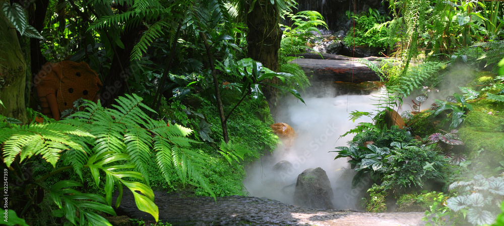 Obraz premium nature green forest