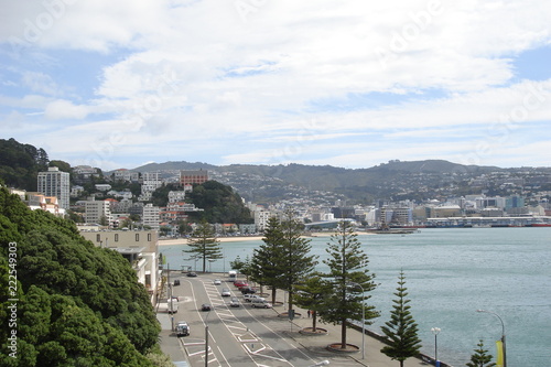 view of city and harbour