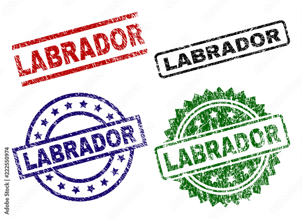 LABRADOR seal prints with damaged style. Black, green,red,blue vector rubber prints of LABRADOR title with retro style. Rubber seals with circle, rectangle, medallion shapes. LABRADOR seal prints with damaged style. Black, green,red,blue vector rubber prints of LABRADOR title with retro style. Rubber seals with circle, rectangle, medallion shapes.