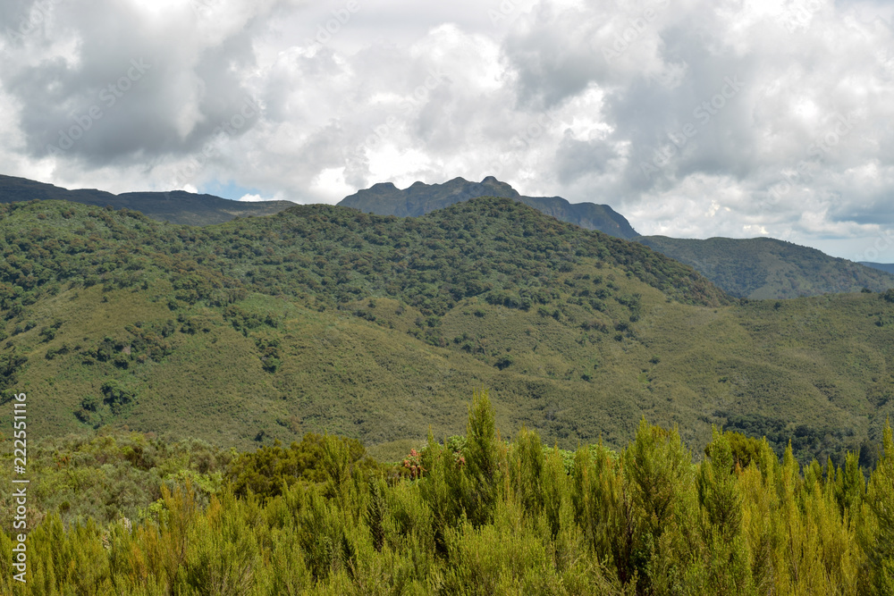Fototapeta premium The foggy landscapes of Elephant Hill, Aberdare Ranges, Kenya