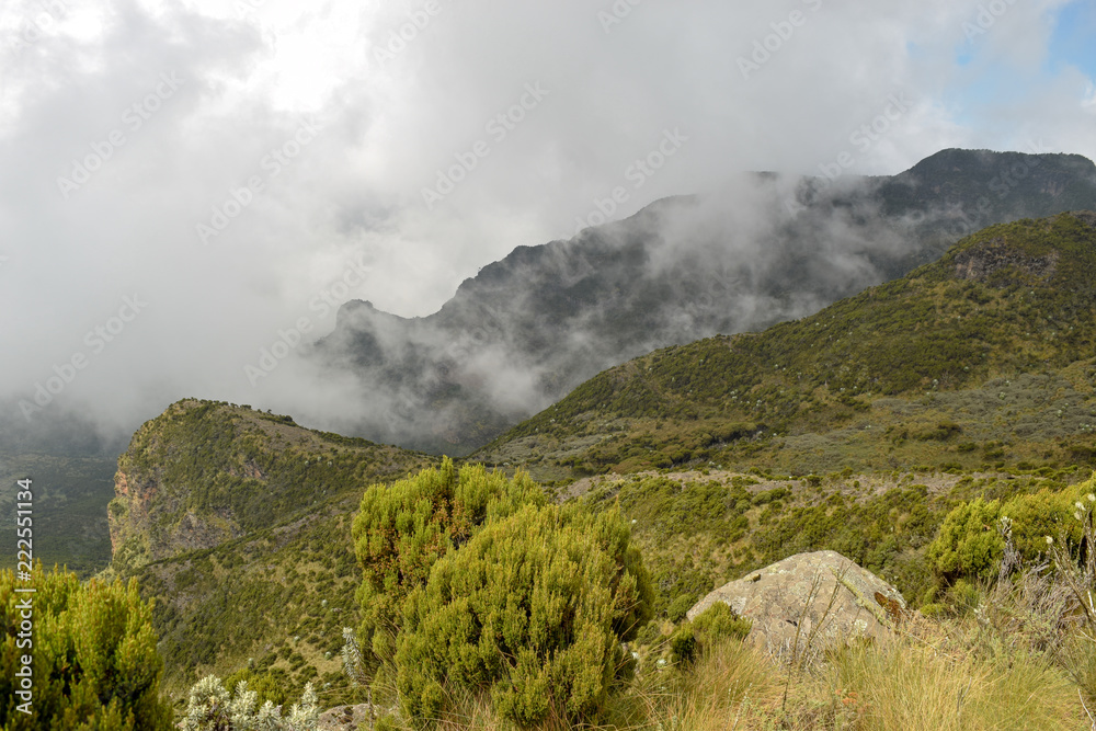 Fototapeta premium The foggy landscapes of Elephant Hill, Aberdare Ranges, Kenya