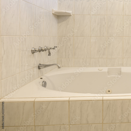 Bath tub with faucet and soap dish on white tile