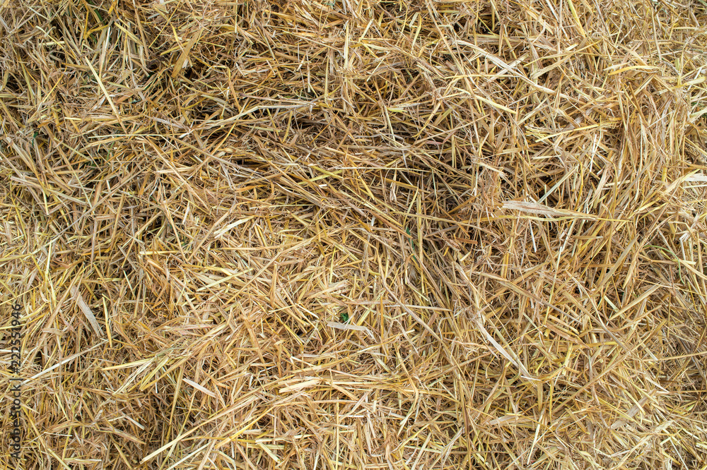 texture of freshly mown hay after harvesting texture of freshly mown hay after harvesting