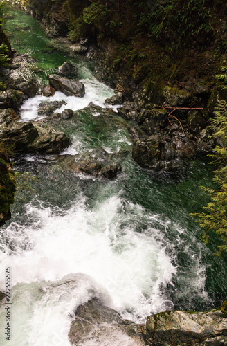 Lynn Canyon, North Vancouver, BC, Canada.