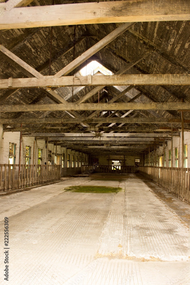 abandoned dairy barn