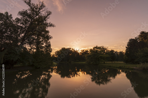 River and spring forest. Nature composition.