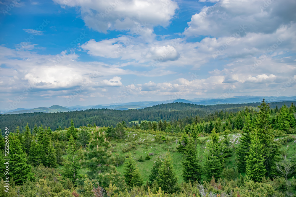 A picturesque calm meadow in a forest among the high massive mountains. A picturesque calm meadow in a forest among the high massive mountains.