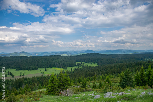 A picturesque calm meadow in a forest among the high massive mountains. © Sergej Ljashenko
