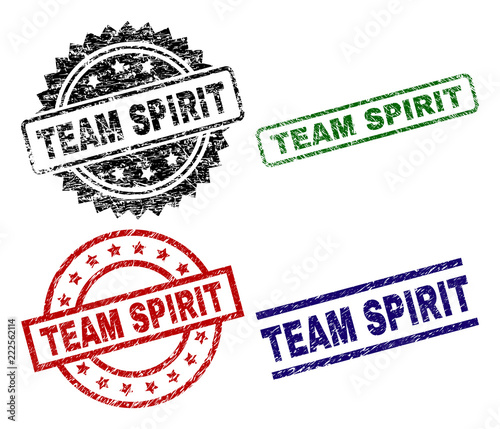 TEAM SPIRIT seal prints with distress style. Black, green,red,blue vector rubber prints of TEAM SPIRIT label with dust style. Rubber seals with circle, rectangle, medallion shapes.