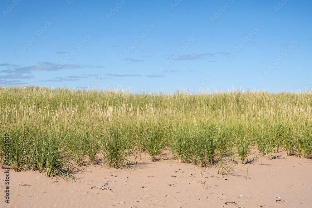 Red Sand Dunes of Prince Edward Island Canada Red Sand Dunes of Prince Edward Island Canada