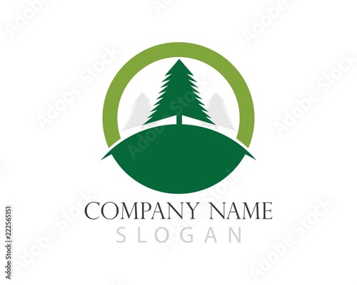 Cedar tree Logo template vector icon illustration design