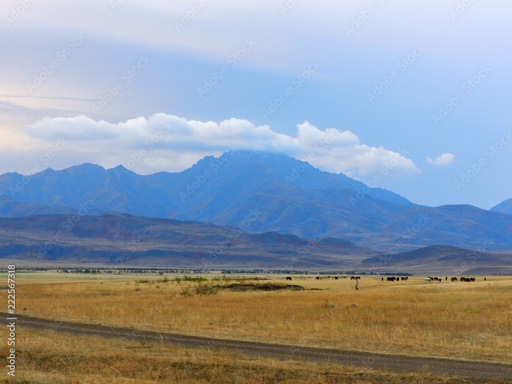 Fototapeta premium Kazakh steppe landscape in Altyn-Emel