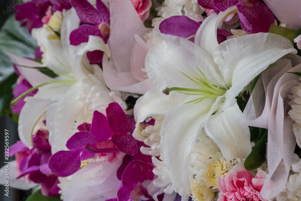 Beautiful flowers at the flower market in Thailand. Beautiful flowers at the flower market in Thailand.