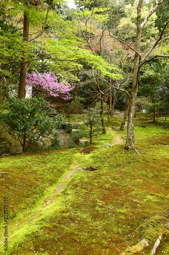 Park in Kyoto