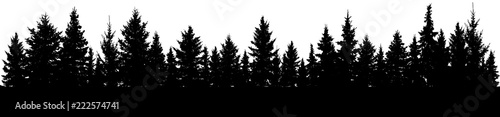 Fir trees silhouette. Forest  vector