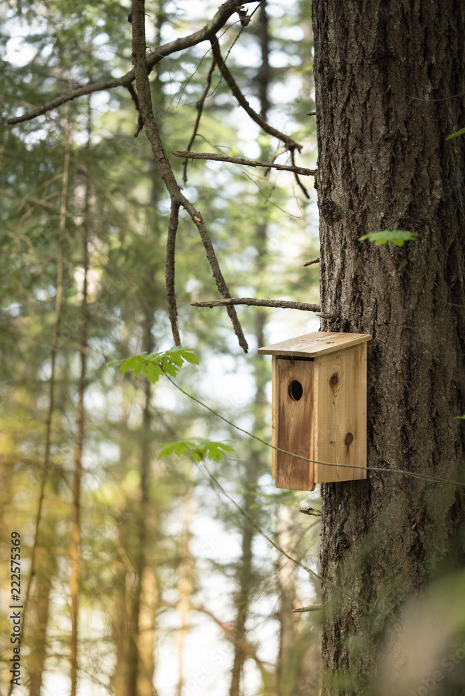 Wooden birdhouse in the tree in spring Wooden birdhouse in the tree in spring