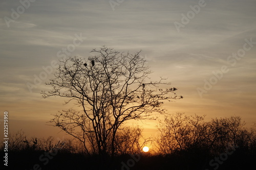 Sunset on the open country