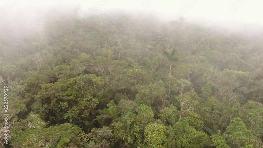 Flying over the canopy of misty montane rainforest. High on a Tepuy (flat topped sandstone mountain), home to many endemic species, above Rio Nangaritza Valley in the Cordillera del Condor, Ecuador. Flying over the canopy of misty montane rainforest. High on a Tepuy (flat topped sandstone mountain), home to many endemic species, above Rio Nangaritza Valley in the Cordillera del Condor, Ecuador.