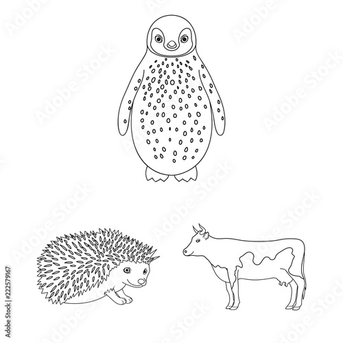 Realistic animals outline icons in set collection for design. Wild and domestic animals vector symbol stock web illustration.