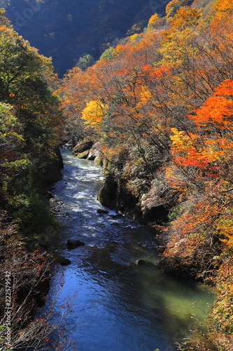 紅葉の渓谷