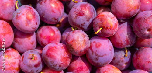 fresh juicy plum