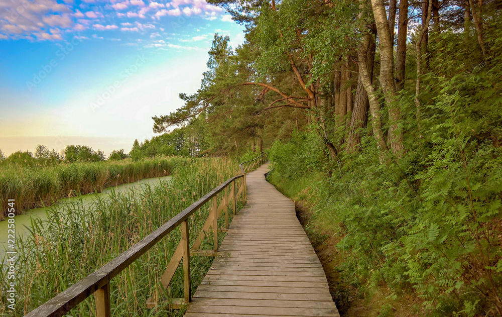 path to the Baltic sea