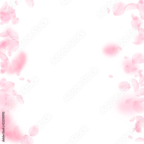 Sakura petals falling down. Romantic pink flowers borders. Flying petals on white square background.