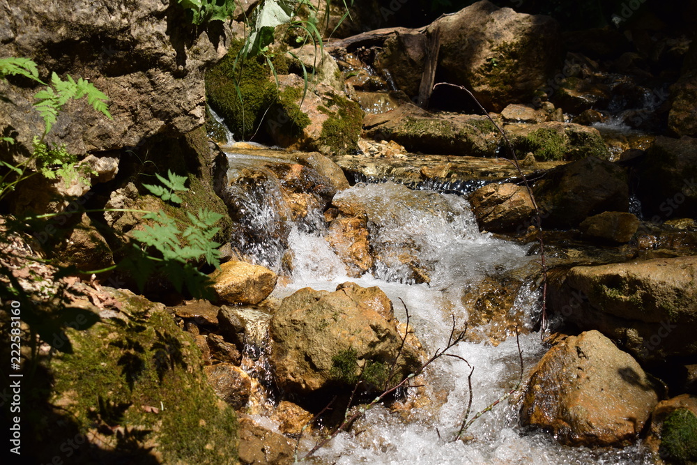 Fototapeta premium water
