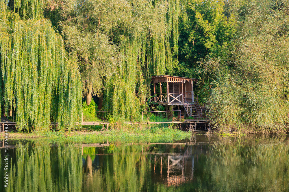 Old wooden gazebo on river bank overgrown with tall old willows in sunny autumn morning. River landscape