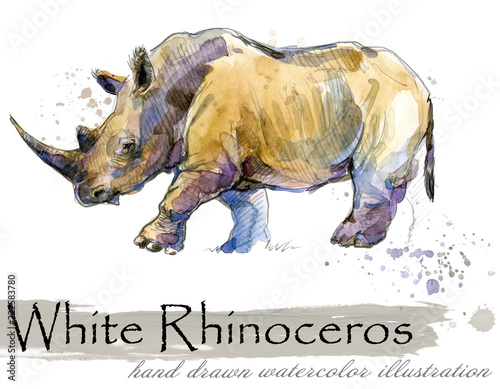 rhinoceros hand drawn watercolor illustration