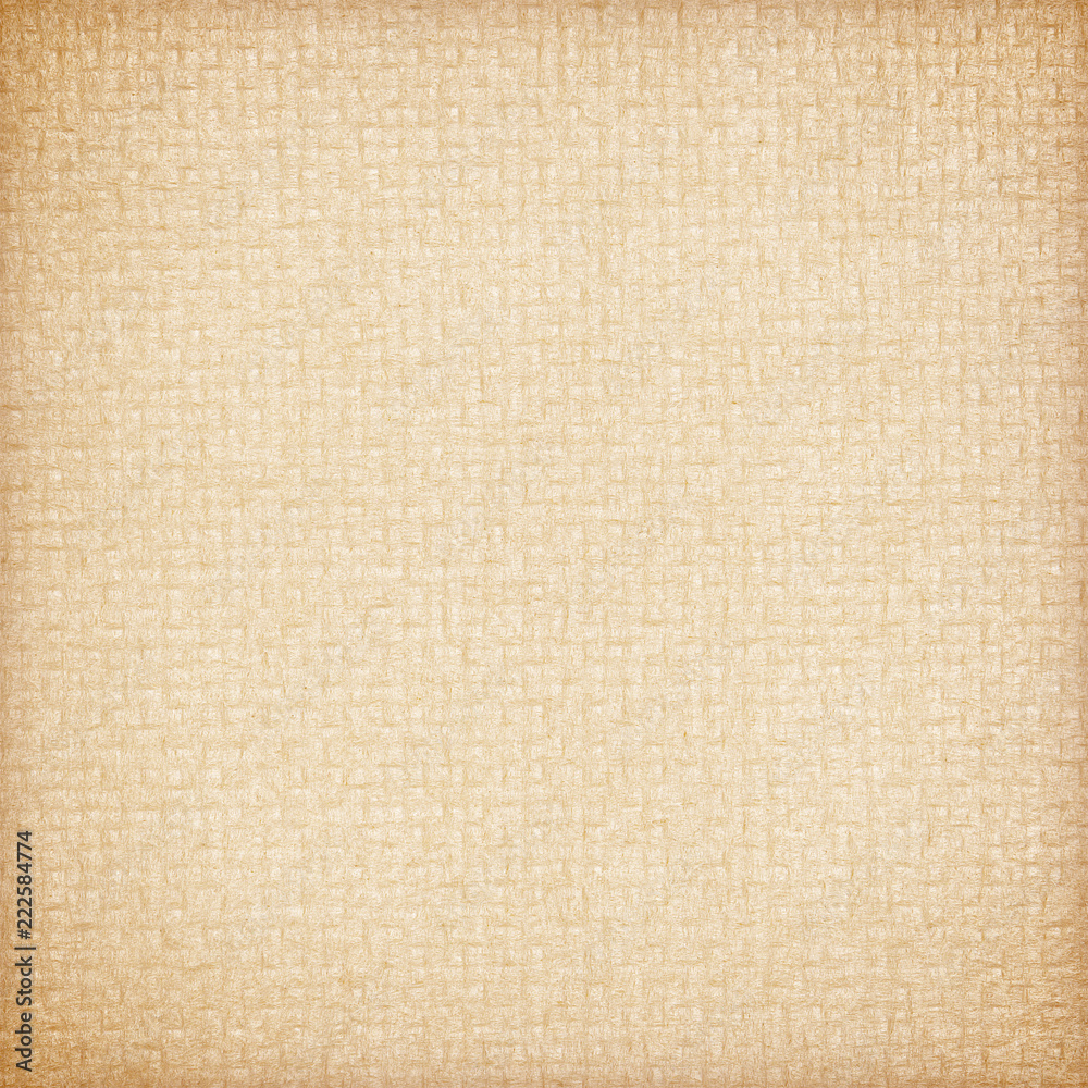 Fototapeta premium Rough paper texture background