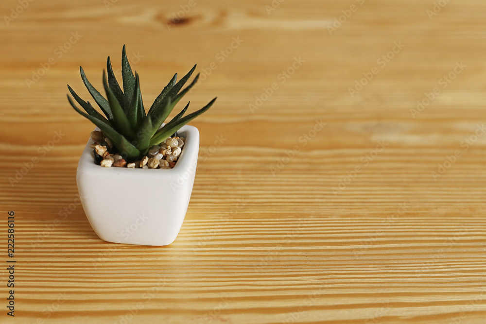 The flower in the pot is on the table.