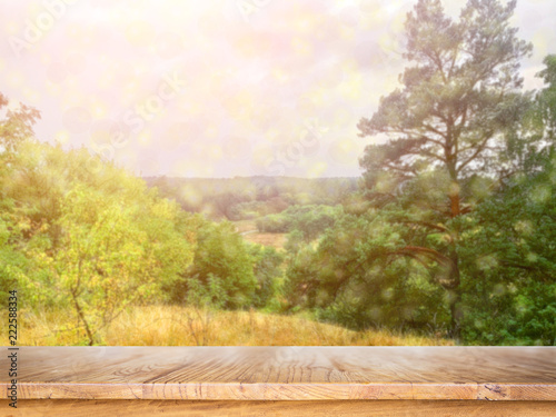 the autumn forest after the cold rain autumn background Background with blue spruce branches