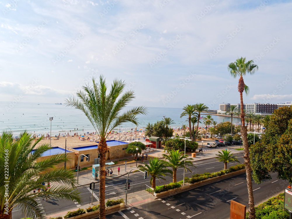 Fototapeta premium Beautiful palms and beach in Alicante. Spain.