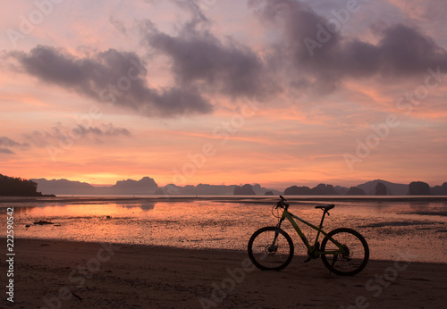 Bicycle on the beach © tippapatt