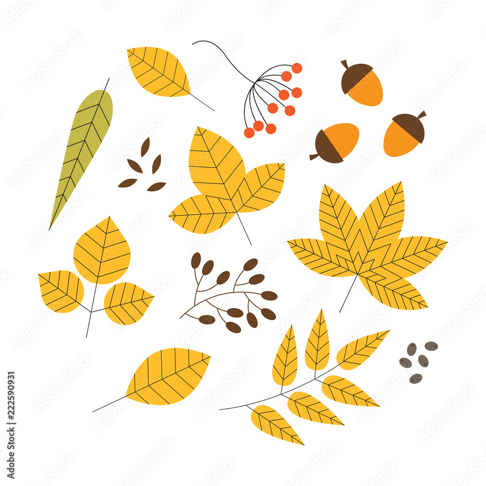 Set of colorful autumn leaves and berries Set of colorful autumn leaves and berries
