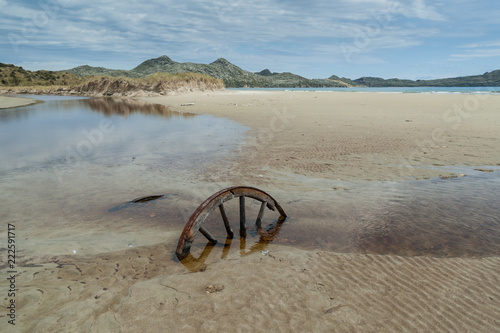 Half buried cartwheel on Mason Bay, Stewart Island, Rakiura, New Zealand.  photo