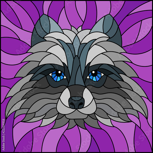 The illustration in stained glass style painting with a raccoon head , on purple background, square image