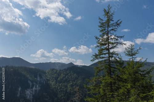 Scenic view; Western Carpathians, Romania