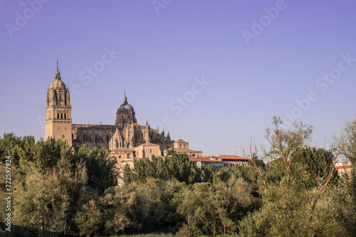 Beautiful view of the cathedral of Salamanca  Castilla y Leon  Spain