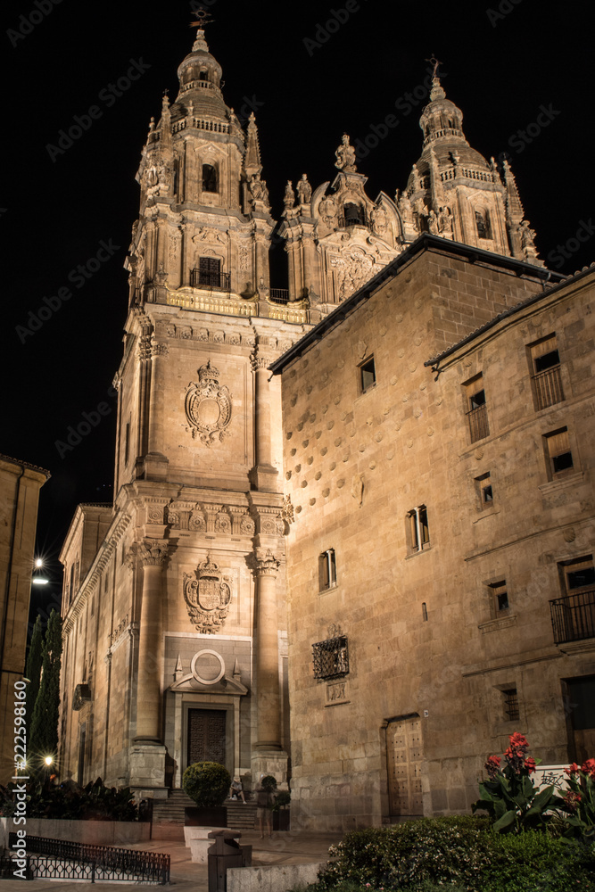 Beautiful view of the cathedral of Salamanca, Castilla y Leon, Spain