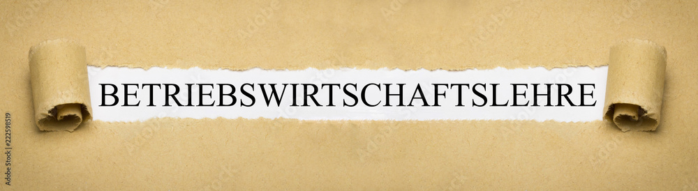 Betriebswirtschaftslehre Betriebswirtschaftslehre