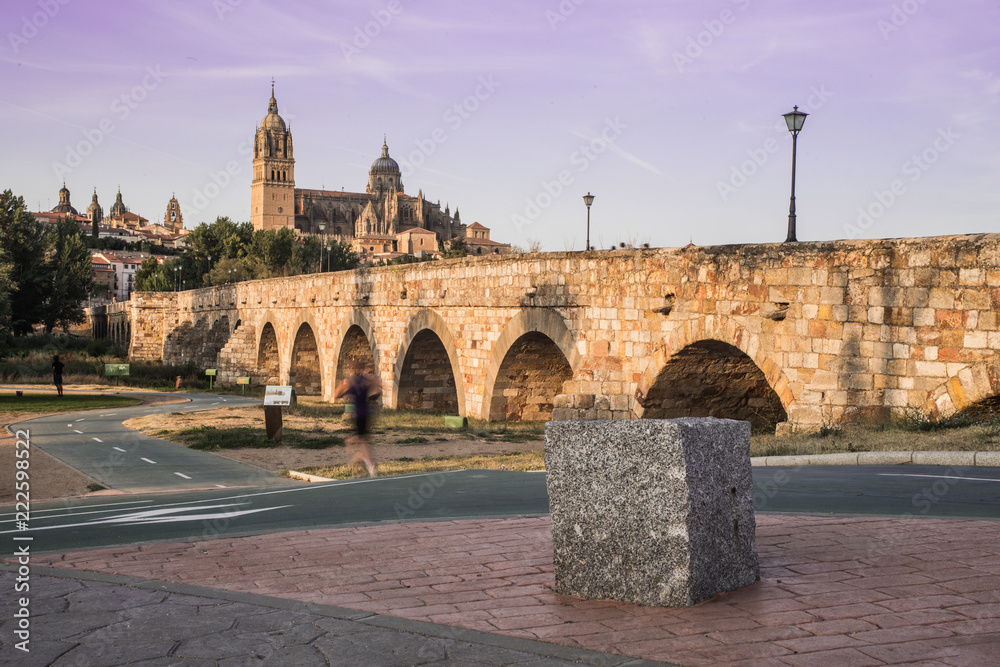Beautiful view of the cathedral of Salamanca and the Roman bridge, Castilla y Leon, Spain